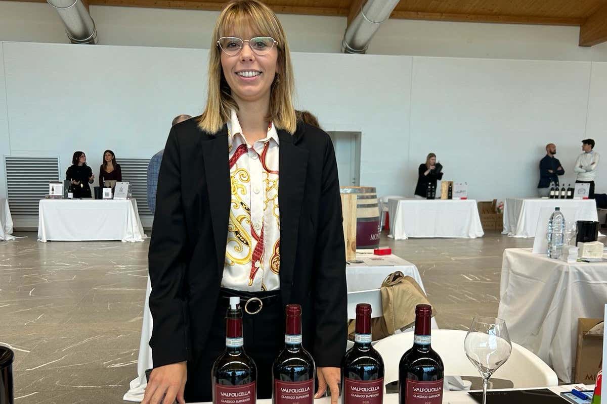L'Amarone ha troppo alcol? «Si può rimediare senza cambiare il disciplinare»